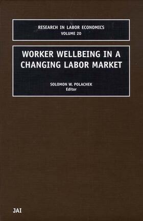 Polachek |  Worker Wellbeing in a Changing Labor Market | Buch |  Sack Fachmedien