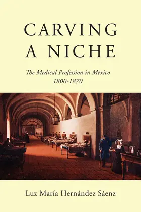 Hernández Sáenz / Saenz |  Carving a Niche | eBook | Sack Fachmedien