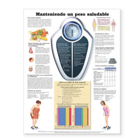  Maintaining a Healthy Weight Anatomical Chart in Spanish (Manteniendo un peso saludable) | Sonstiges |  Sack Fachmedien
