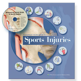  Anatomical Visual Guide to Sports Injuries | Buch |  Sack Fachmedien