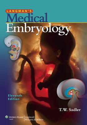 Sadler |  Langman's Medical Embryology: North American Edition | Buch |  Sack Fachmedien