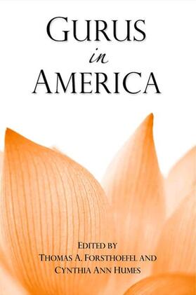 Forsthoefel / Humes |  Gurus in America | eBook | Sack Fachmedien