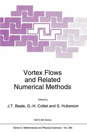 Beale / Huberson / Cottet |  Vortex Flows and Related Numerical Methods | Buch |  Sack Fachmedien