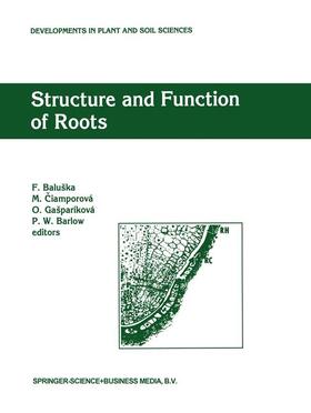 Baluska / Barlow / Ciamporová |  Structure and Function of Roots | Buch |  Sack Fachmedien