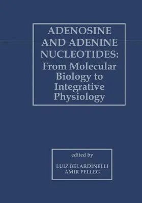 Belardinelli / Pelleg |  Adenosine and Adenine Nucleotides: From Molecular Biology to Integrative Physiology | Buch |  Sack Fachmedien