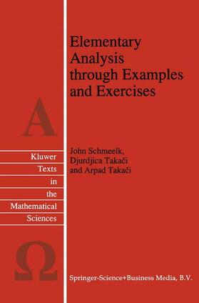 Schmeelk / Takaci |  Elementary Analysis through Examples and Exercises | Buch |  Sack Fachmedien