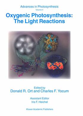 Yocum / Ort |  Oxygenic Photosynthesis: The Light Reactions | Buch |  Sack Fachmedien