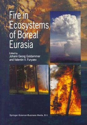 Furyaev / Goldammer |  Fire in Ecosystems of Boreal Eurasia | Buch |  Sack Fachmedien