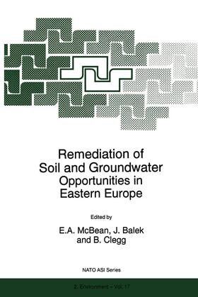 McBean / Balek / Clegg |  Remediation of Soil and Groundwater | Buch |  Sack Fachmedien