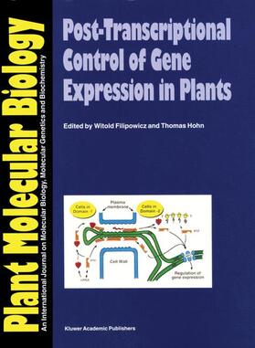 Filipowicz / Hohn |  Post-Transcriptional Control of Gene Expression in Plants | Buch |  Sack Fachmedien