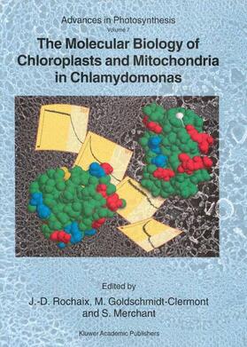Rochaix / Goldschmidt-Clermont / Merchant |  The Molecular Biology of Chloroplasts and Mitochondria in Chlamydomonas | Buch |  Sack Fachmedien