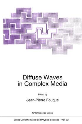 Fouque |  Diffuse Waves in Complex Media | Buch |  Sack Fachmedien