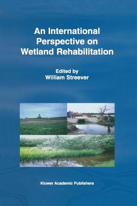 Streever |  An International Perspective on Wetland Rehabilitation | Buch |  Sack Fachmedien