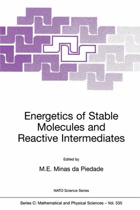 Minas da Piedade |  Energetics of Stable Molecules and Reactive Intermediates | Buch |  Sack Fachmedien