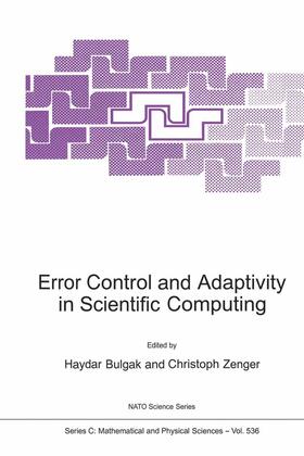 Zenger / Bulgak |  Error Control and Adaptivity in Scientific Computing | Buch |  Sack Fachmedien
