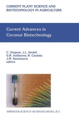 Oropeza / Verdeil / Santamaría |  Current Advances in Coconut Biotechnology | Buch |  Sack Fachmedien