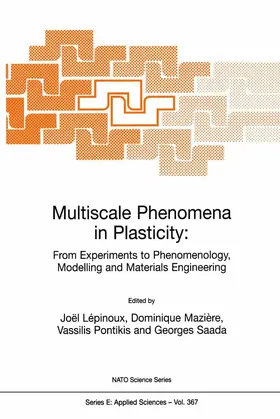 Lépinoux / Saada / Mazière |  Multiscale Phenomena in Plasticity: From Experiments to Phenomenology, Modelling and Materials Engineering | Buch |  Sack Fachmedien