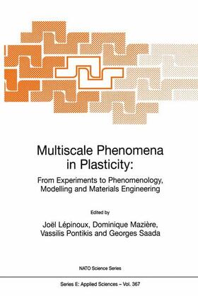 Lépinoux / Saada / Mazière |  Multiscale Phenomena in Plasticity: From Experiments to Phenomenology, Modelling and Materials Engineering | Buch |  Sack Fachmedien