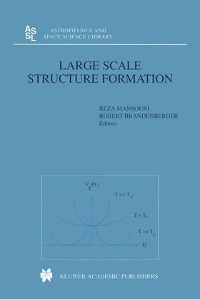 Brandenberger / Mansouri |  Large Scale Structure Formation | Buch |  Sack Fachmedien