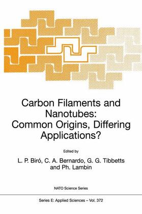 Biró / Lambin / Bernardo | Carbon Filaments and Nanotubes: Common Origins, Differing Applications? | Buch | 978-0-7923-6908-0 | sack.de