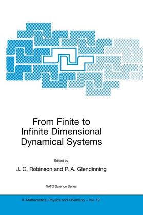 Glendinning / Robinson |  From Finite to Infinite Dimensional Dynamical Systems | Buch |  Sack Fachmedien