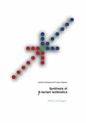 Bruggink |  Synthesis of ¿-Lactam Antibiotics | Buch |  Sack Fachmedien
