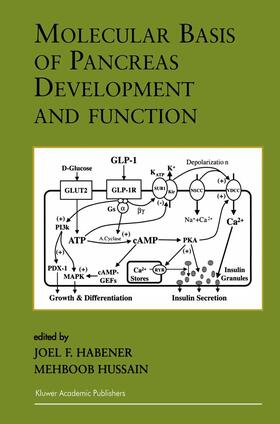 Hussain / Habener |  Molecular Basis of Pancreas Development and Function | Buch |  Sack Fachmedien