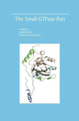 D'Eustachio / Rush |  The Small GTPase Ran | Buch |  Sack Fachmedien