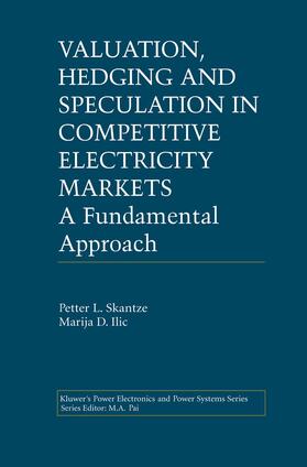 Ilic / Skantze |  Valuation, Hedging and Speculation in Competitive Electricity Markets | Buch |  Sack Fachmedien