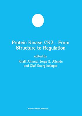 Ahmed / Issinger / Allende |  Protein Kinase CK2 ¿ From Structure to Regulation | Buch |  Sack Fachmedien