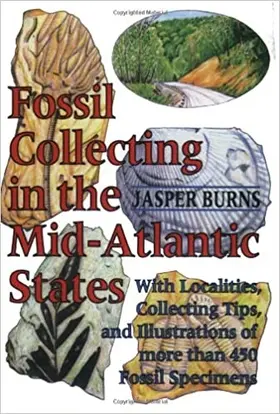 Burns |  Fossil Collecting in the Mid-Atlantic States | Buch |  Sack Fachmedien