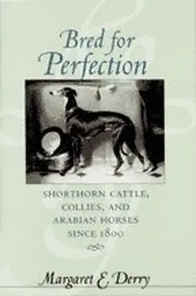 Derry |  Bred for Perfection | Buch |  Sack Fachmedien