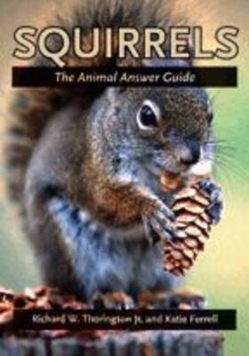 Ferrell / Thorington |  Squirrels | Buch |  Sack Fachmedien