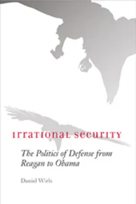 Wirls |  Irrational Security | Buch |  Sack Fachmedien