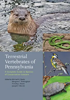 Steele / Brittingham / Maret |  Terrestrial Vertebrates of Pennsylvania | Buch |  Sack Fachmedien