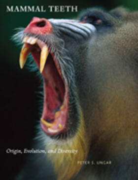 Ungar |  Mammal Teeth | Buch |  Sack Fachmedien
