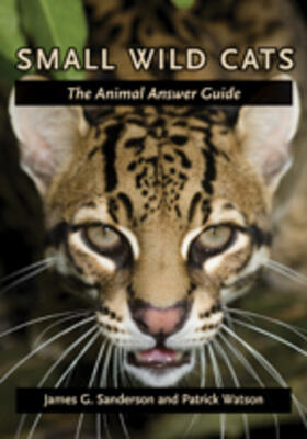 Sanderson / Watson |  Small Wild Cats | Buch |  Sack Fachmedien