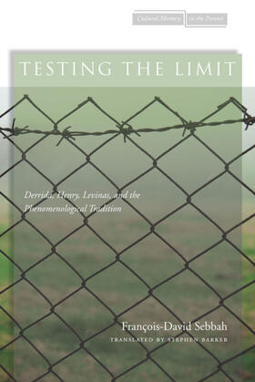 Sebbah |  Testing the Limit | eBook | Sack Fachmedien