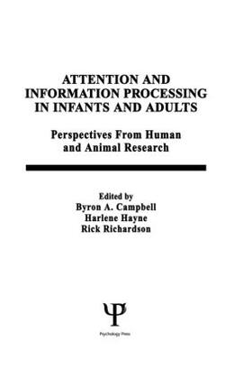 Campbell / Hayne / Richardson |  Attention and information Processing in infants and Adults | Buch |  Sack Fachmedien