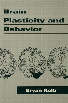 Kolb |  Brain Plasticity and Behavior | Buch |  Sack Fachmedien