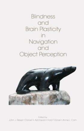 Rieser / Ashmead / Ebner |  Blindness and Brain Plasticity in Navigation and Object Perception | Buch |  Sack Fachmedien