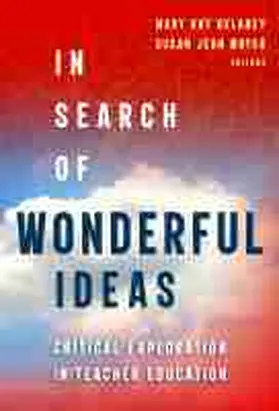 Delaney / Mayer |  In Search of Wonderful Ideas | Buch |  Sack Fachmedien