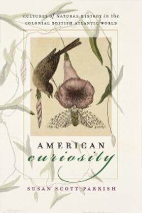 Parrish |  American Curiosity | eBook | Sack Fachmedien