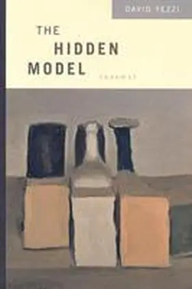 Yezzi |  The Hidden Model | Buch |  Sack Fachmedien