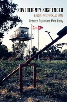 Bryant / Hatay |  Sovereignty Suspended | eBook | Sack Fachmedien