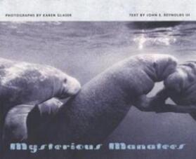  Mysterious Manatees | Buch |  Sack Fachmedien