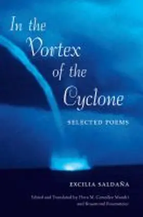  In the Vortex of the Cyclone | Buch |  Sack Fachmedien