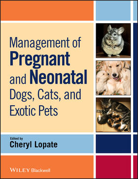 Lopate |  Management of Pregnant and Neonatal Dogs, Cats, and Exotic Pets | Buch |  Sack Fachmedien