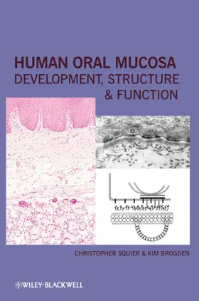 Squier / Brogden |  Human Oral Mucosa | Buch |  Sack Fachmedien