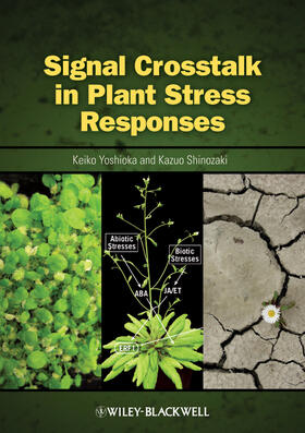 Yoshioka / Shinozaki |  Signal CrossTalk in Plant Stress Responses | Buch |  Sack Fachmedien